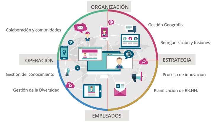 Organización