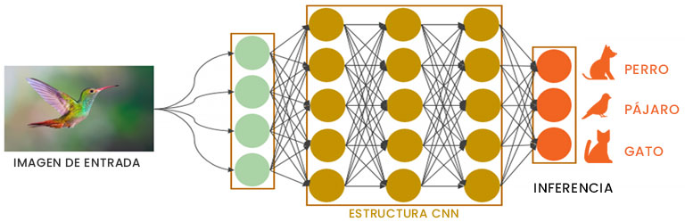 Estructura CNN